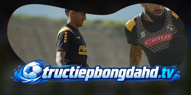 Phân tích phong độ Coquimbo Unido vs Cobreloa trước màn quyết định