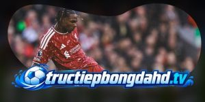 Dự Đoán Trận Brentford Vs Liverpool 21h00 17/10