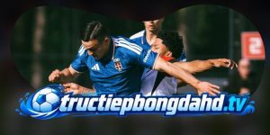 Dự Đoán Trận Como Vs Manchester United 23h45 21/10