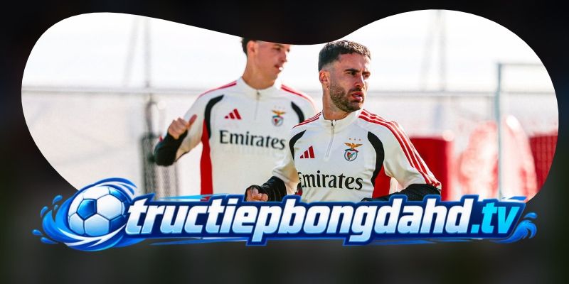 Tổng hợp dự đoán kèo Santa Clara vs Benfica ngày 27/10