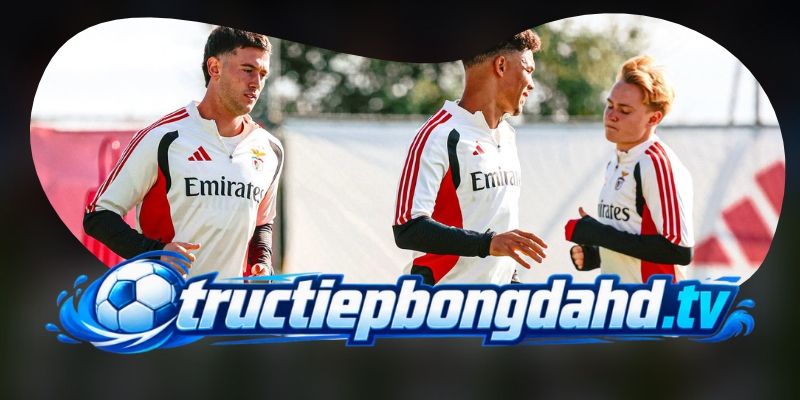 Dự Đoán Trận Santa Clara Vs Benfica 01h45 27/10